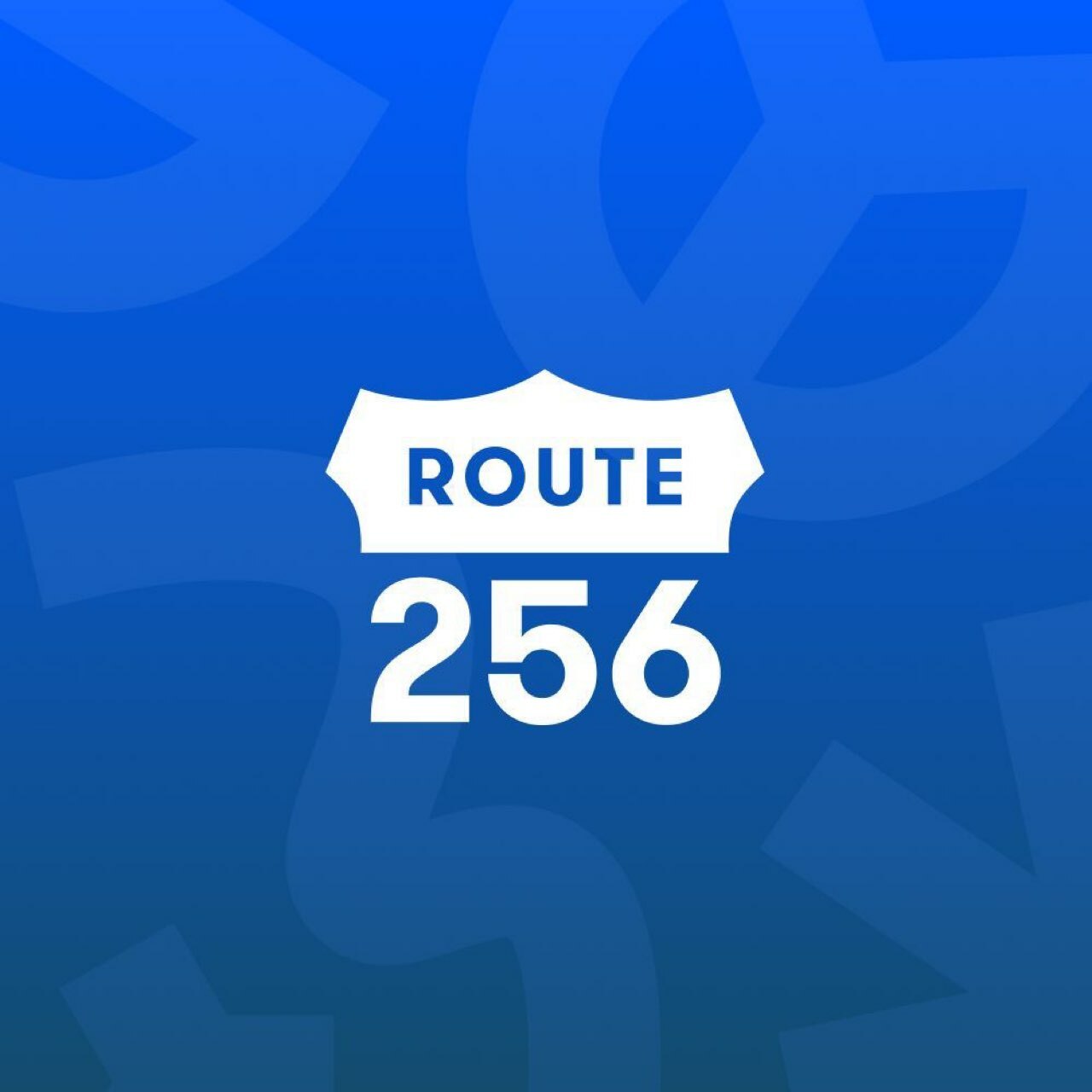 QA (Python) – бесплатный онлайн-курс Route 256 для тестировщиков от Ozon